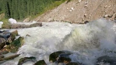 Dağ ormanındaki engebeli nehirle güzel bir manzara. Ormanın arka planında taşlı, kaba bir dağ nehri. Ağır çekim. Dağ nehri azgın dalgalar, nehirdeki kayalar ve kayalar.