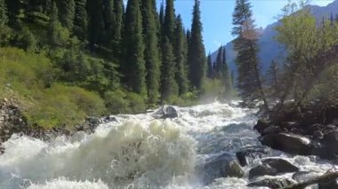 Dağ ormanındaki engebeli nehirle güzel bir manzara. Ormanın arka planında taşlı, kaba bir dağ nehri. Ağır çekim. Dağ nehri azgın dalgalar, nehirdeki kayalar ve kayalar.