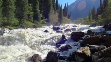 Dağ ormanındaki engebeli nehirle güzel bir manzara. Ormanın arka planında taşlı, kaba bir dağ nehri. Ağır çekim. Dağ nehri azgın dalgalar, nehirdeki kayalar ve kayalar.