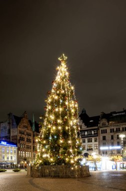 MALMO, SVEDEN - 28 Kasım 2024: Şehirlerin ana meydanında büyük ışıklı bir noel ağacı
