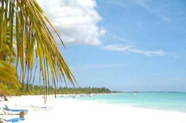Tropik kumsal, beyaz kum ve palmiyeler. Dominik Cumhuriyeti, Saona Adası