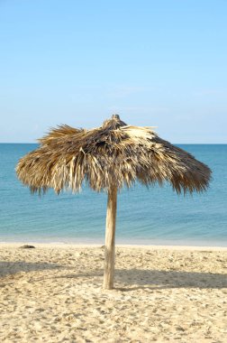 egzotik plaj şemsiye Palm dışında yapılan yapraklar.