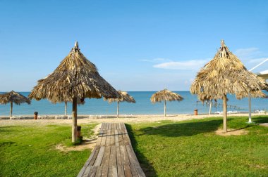 Küba 'nın varadero sahilinde palmiye yapraklarından yapılmış bir sürü şemsiye.