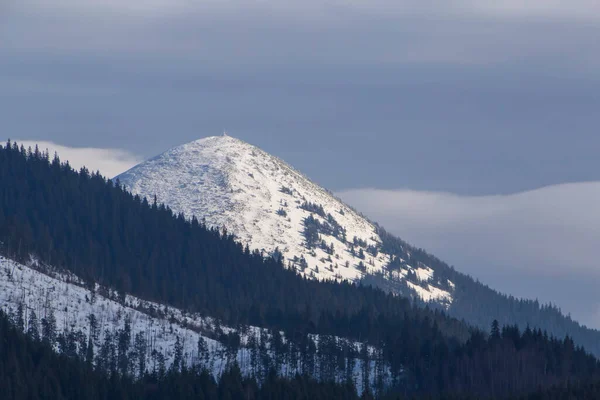 冬のカルパチア山脈のホンヤック山の光景 — ストック写真