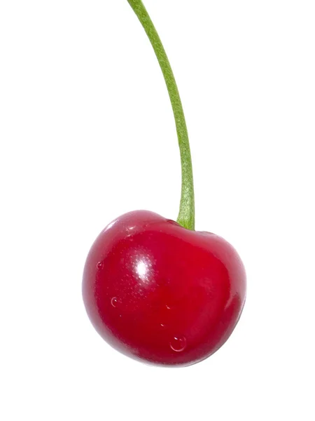 用在白色上的湿红樱桃浆果制成的特写 — 图库照片