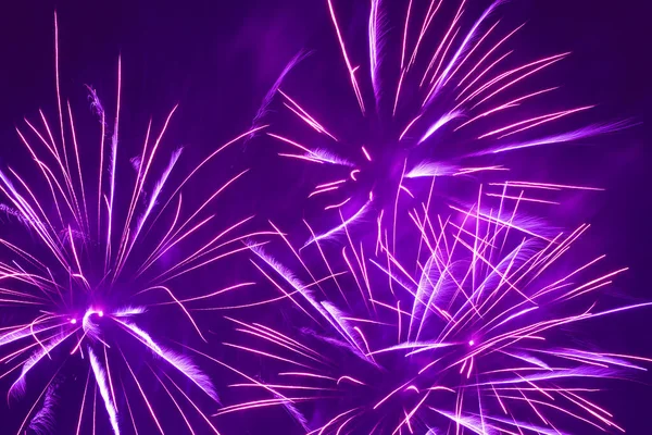 假日背景 夜空中明亮的紫色烟火 — 图库照片