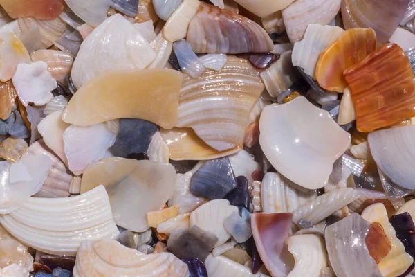 Abstract Natural Background Close Heap Colorful Broken Seashells Seacoast — Stock Photo, Image