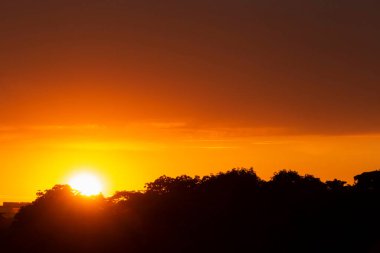 Yazın Paris 'teki parktan gün batımında manzara