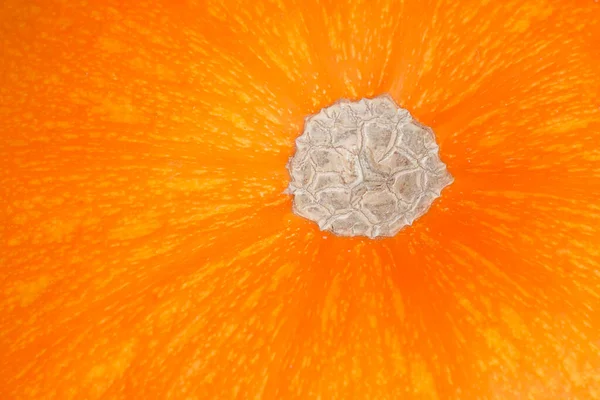 Abstrakcyjne Naturalne Tło Zbliżenie Wierzchołka Pomarańczowej Dyni — Zdjęcie stockowe