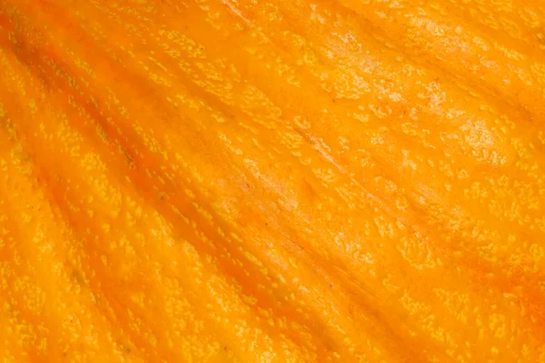 Abstract Natural Background Close Orange Pumpkin Peel Texture — Stock Photo, Image