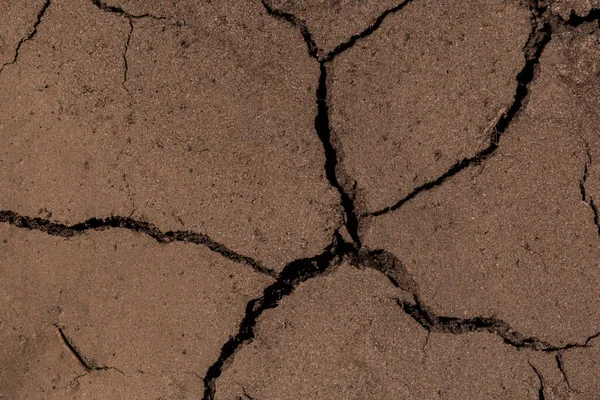 Close Dry Cracked Brown Soil Background — Stock Photo, Image