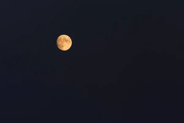 Widok Żółty Woskowanie Bełkot Księżyc Nocnym Niebie — Zdjęcie stockowe