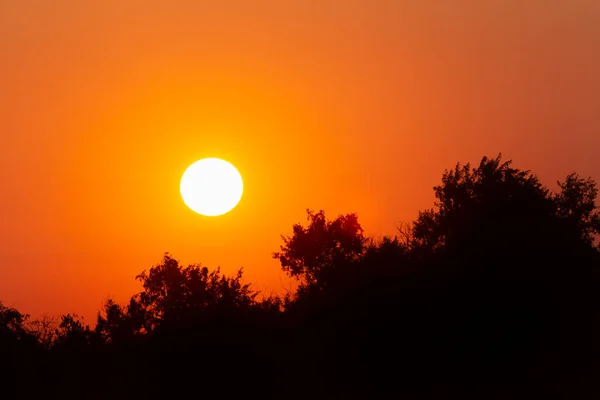Vista Sol Poniéndose Detrás Los Árboles Atardecer — Foto de Stock