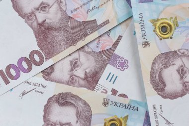 Birkaç bin Ukrayna Hrivnya banknotunu kapat