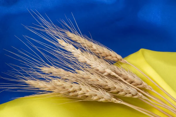 Закрытие Колосьев Пшеницы Лежащих Флаге Украины Лицензионные Стоковые Изображения