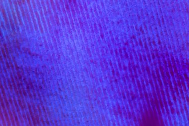 soyut arkaplan: mavi ve mor renklerle boyanmış çizgili kağıtların kapatılması