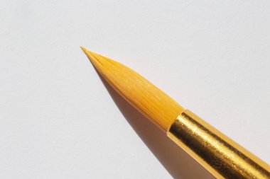 Beyaz kağıt yaprağında suluboya için boya fırçasının ucunu kapat