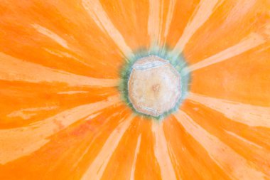 soyut doğal arkaplan: balkabağının alt kısmının kapatılması