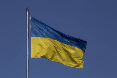 Açık mavi gökyüzüne karşı bayrak direğinde Ukrayna bayrağı salladı