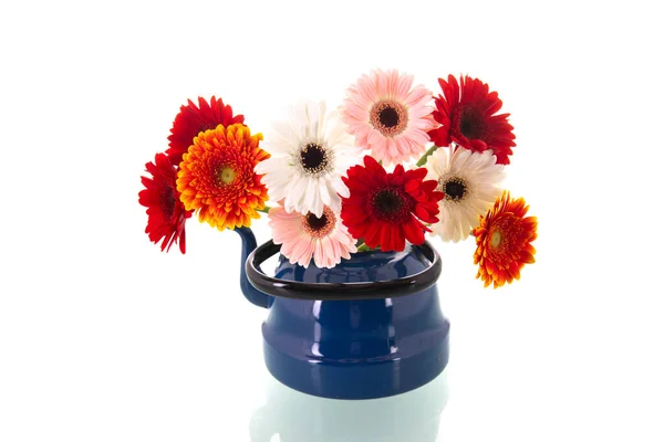 Barevné Kytice Gerber Květiny Modré Vinobraní Váza Izolované Přes Bílé — Stock fotografie