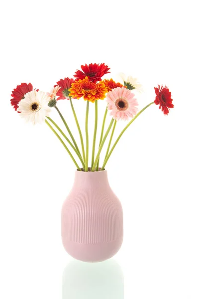 Barevné Kytice Gerber Květiny Růžové Vázy Izolované Přes Bílé Pozadí — Stock fotografie