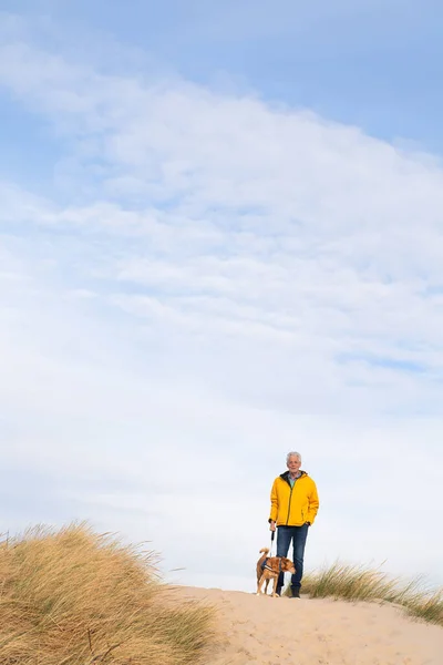 Senior Man Dog Dutch Dunes — Stockfoto