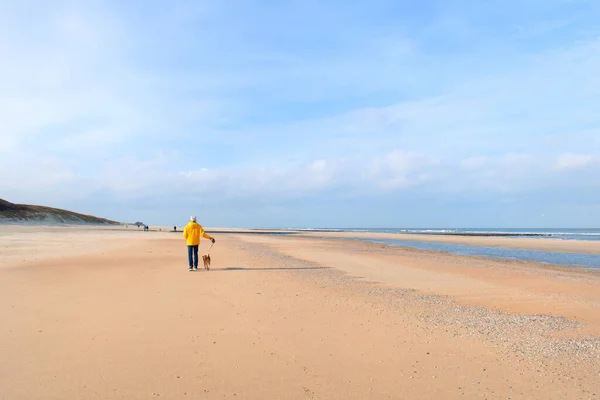 Senior Man Walking Dog Dutch Coast — Stockfoto