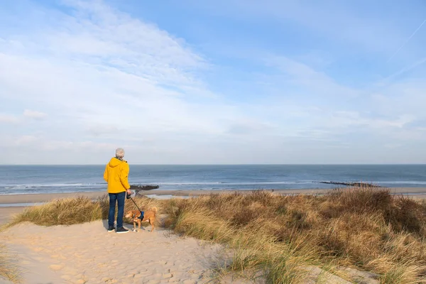 オランダの海岸に犬を持つシニア男 — ストック写真