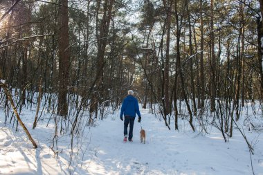 Walking the dog in snow forest