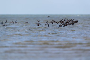 Havada uçuşan küçük boşluklar