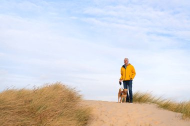 Senior man with dog at the Dutch coast on top of the dunes clipart