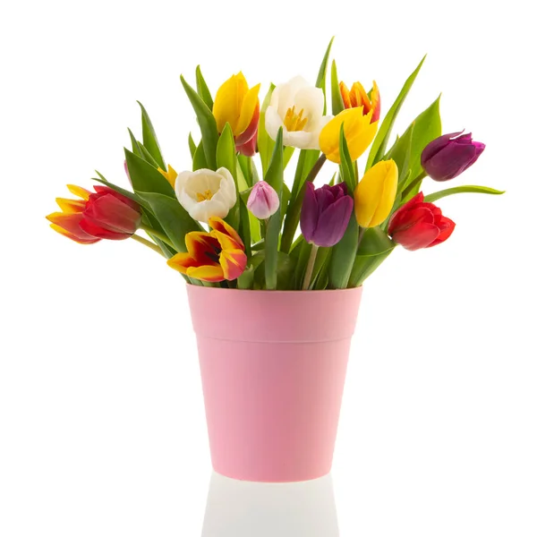 Coloridos Tulipanes Ramo Jarrón Rosa Aislado Sobre Fondo Blanco —  Fotos de Stock