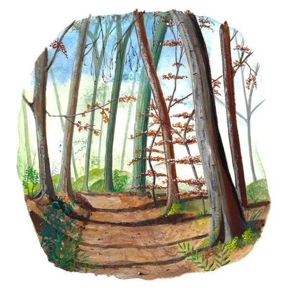 Path through the forest hand painted isolated over white background