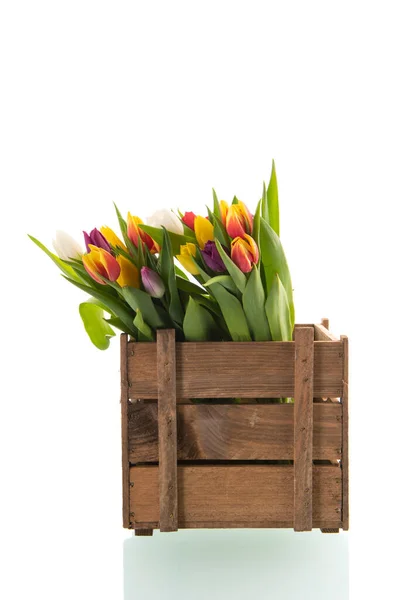 Kleurrijke Boeket Tulpen Koop Houten Krat Geïsoleerd Witte Achtergrond — Stockfoto