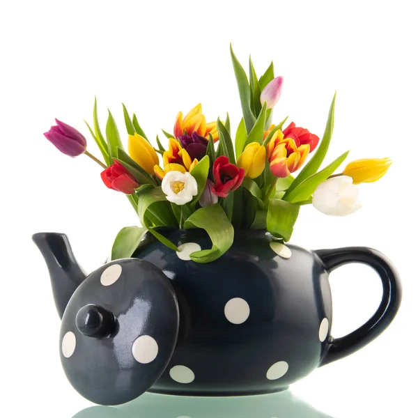 色彩斑斓的花束郁金香装在白色背景下的大茶壶里 — 图库照片