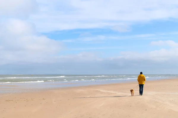 Βγάζεις Βόλτα Σκύλο Στην Άδεια Παραλία — Φωτογραφία Αρχείου