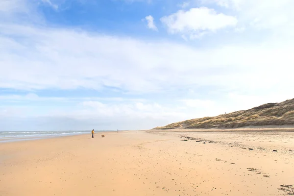Прогулянка Собакою Порожньому Пляжі — стокове фото