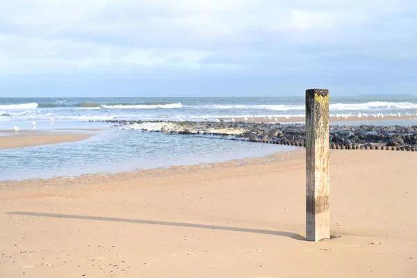 Pole Holländischen Strand Auf Der Wattenmeerinsel Vlieland Mit Vielen Möwen — Stockfoto