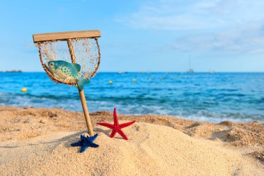 Sahilde yıldız balıklarıyla karaya çıkmak.