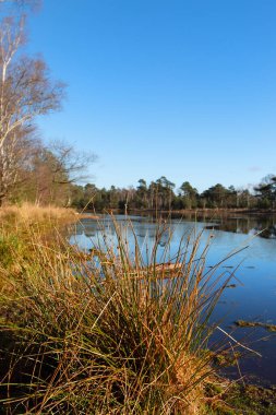 Hollanda 'da Göl Leersummer veld