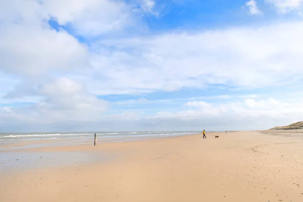 Walking Dog Empty Beach — Stock Photo, Image