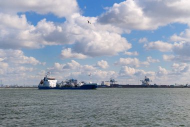 Hollandalı Hoek van Holland denizinde limandaki kargo gemisi