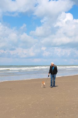Hollanda sahilinde köpeği gezdiren adam.