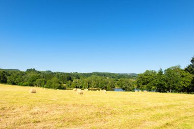Fransa 'nın ortasında çimen ve göl manzarası