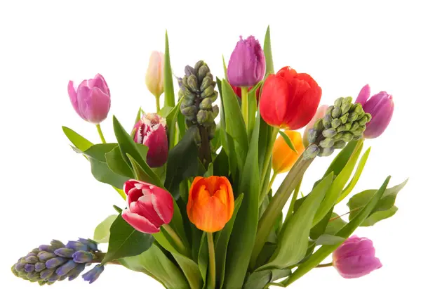 Kytice Tulipány Hyacinty Izolované Přes Bílé Pozadí Royalty Free Stock Fotografie
