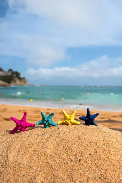 Tropikalne Kolorowe Rozgwiazdy Plaży Zdjęcie Stockowe