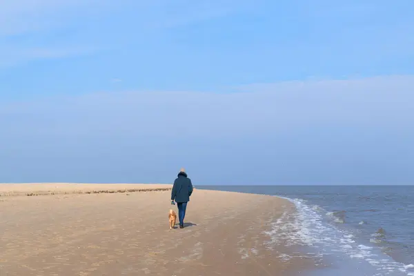 Homem Passeando Seu Cão Praia Fotografia De Stock