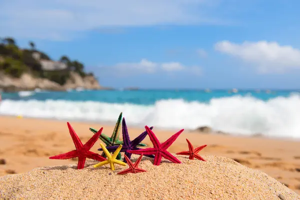 Estrelas Mar Coloridas Tropicais Praia Imagem De Stock