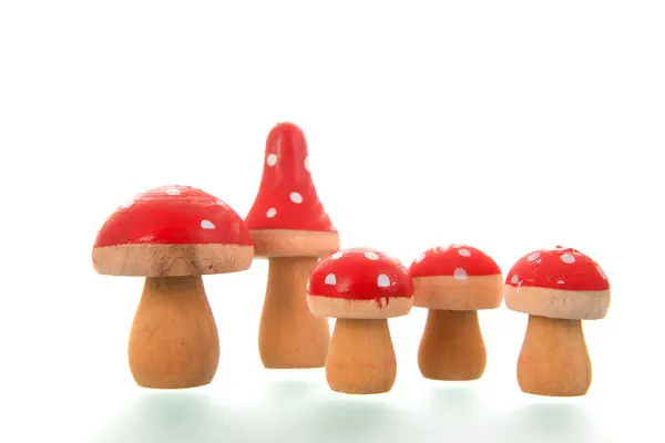 白色背景上隔离的红木蘑菇 图库图片