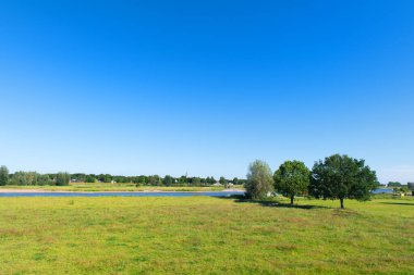 Hollanda 'daki IJssel Nehri Olst köyünde.